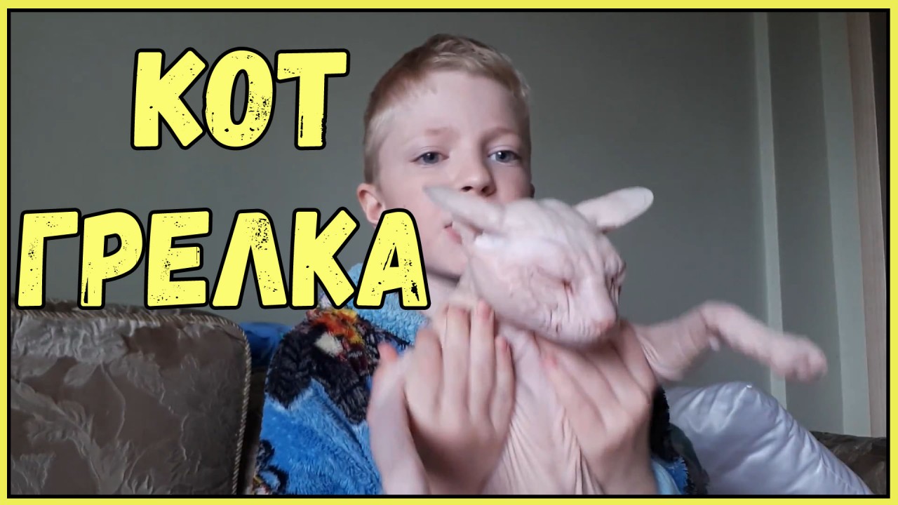 Смешные животные и их хозяева