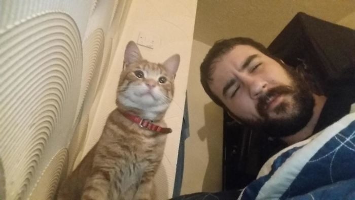 Коты сами нашли себе хозяев