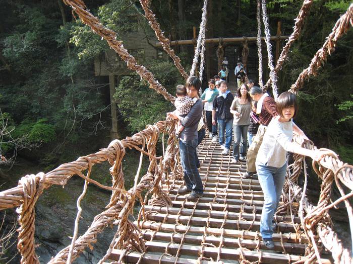 Vine Footpaths AKA Bridges 