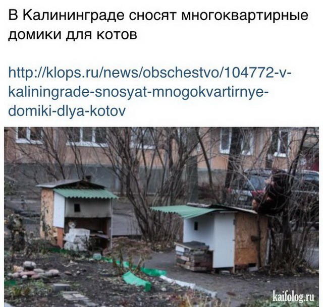 Русские маразмы за неделю (55 фото) Русские маразмы за неделю (55 фото)