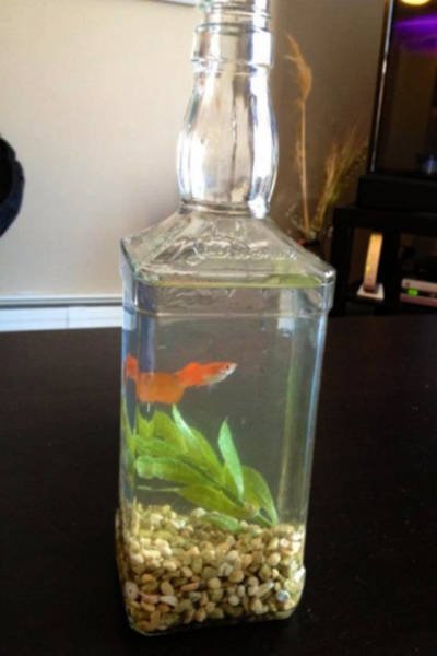 Все проблемы решаемы! (29 фото) Все проблемы решаемы! (29 фото)