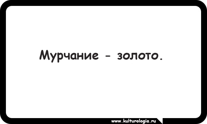 15 открыток, которые будут близки и понятны поклонникам котиков