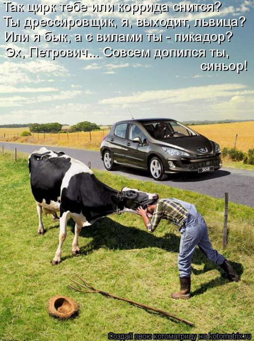 kotomatritsa_c (2) (520x700, 435Kb)
