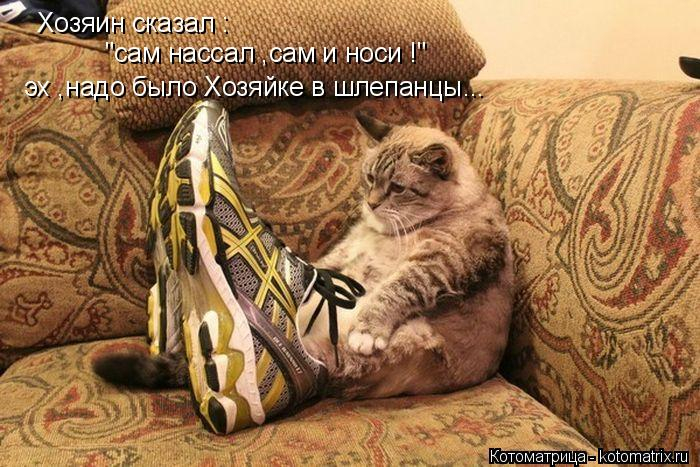 kotomatritsa__ (1) (700x467, 318Kb)