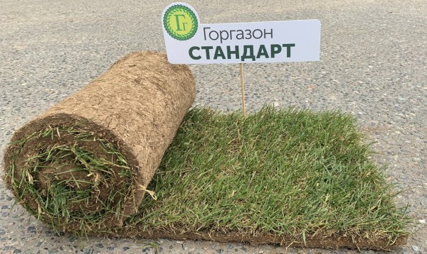 Рулонные газоны - самый простой способ сделать газон идеальным