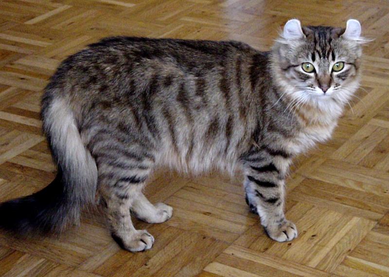 http://animalsfoto.com/photo/6e/6e5bf0bb9f9a5f9f52501a7f4523c824.jpg