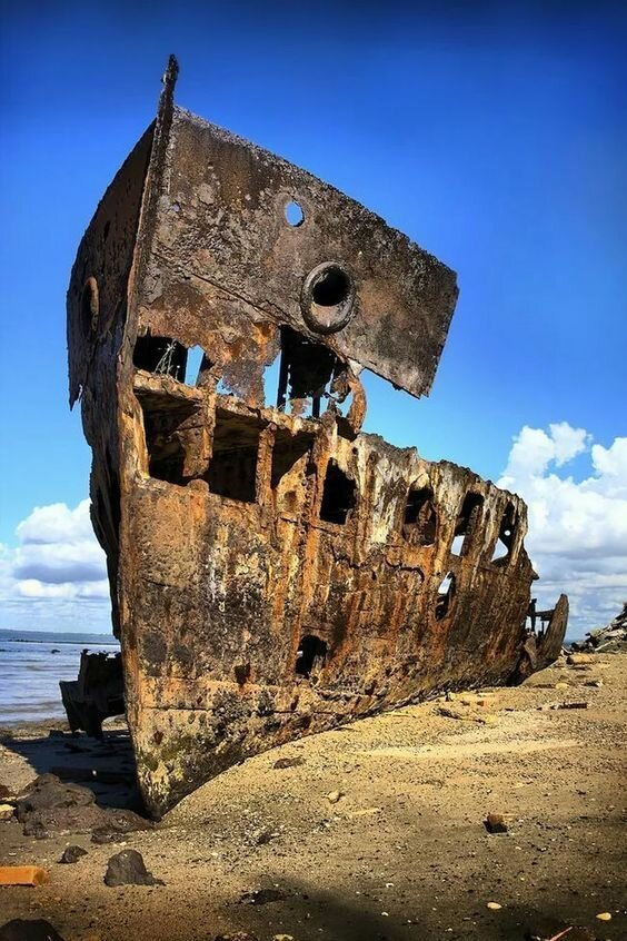 30 фото о жизни и смерти коней моря 30 фото о жизни и смерти коней моря