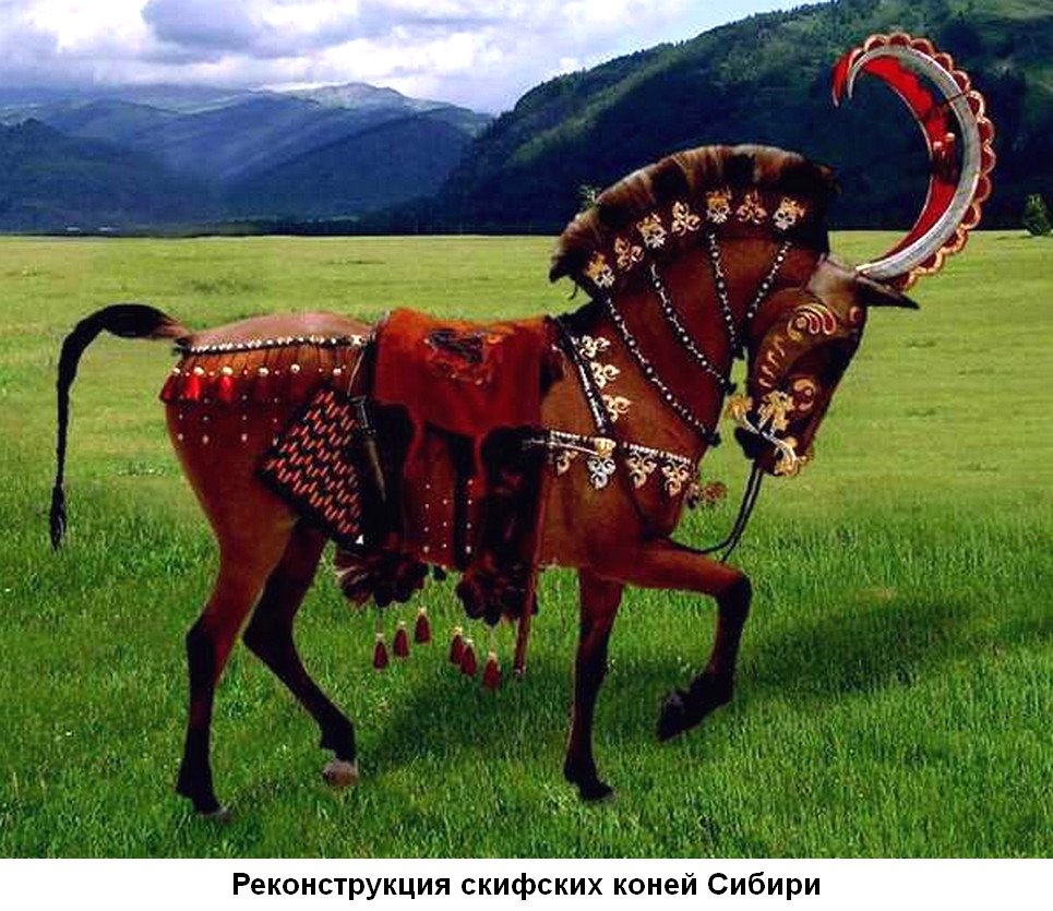ЗОЛОТО СИБИРСКИХ СКИФОВ ЗОЛОТО СИБИРСКИХ СКИФОВ