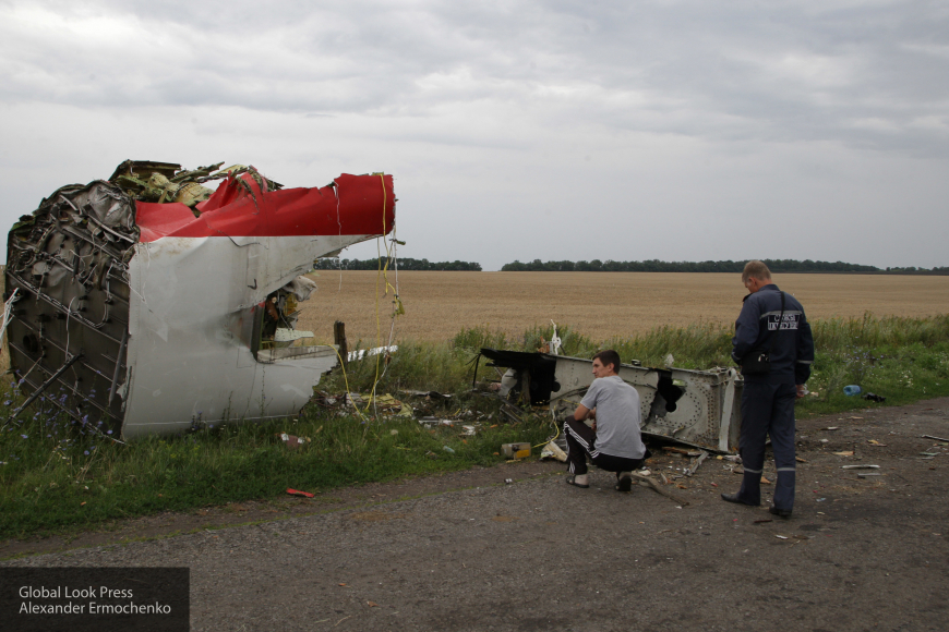 Обвинения в адрес Цемаха по поводу крушения MH17 прокомментировали в Госдуме