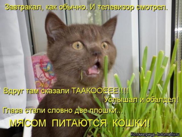 1 (9) (640x480, 56Kb)