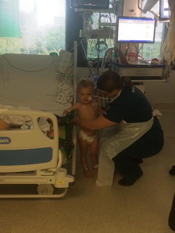 Эта собака спасла 2-летнего мальчика там, где никто не мог помочь Эта собака спасла 2-летнего мальчика там, где никто не мог помочь