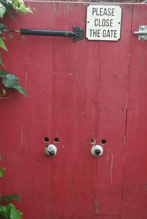 %image_alt%