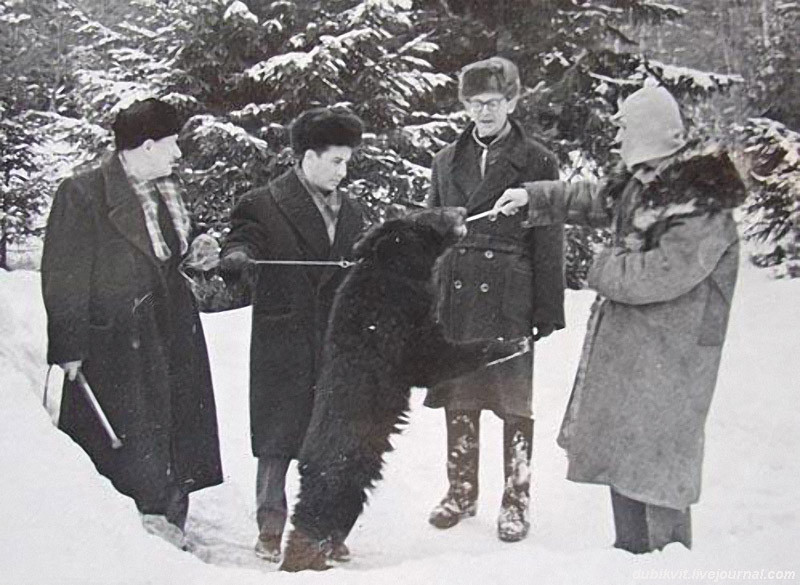 На съёмках фильма «Самогонщики» история, кино, съёмки фильма, факты