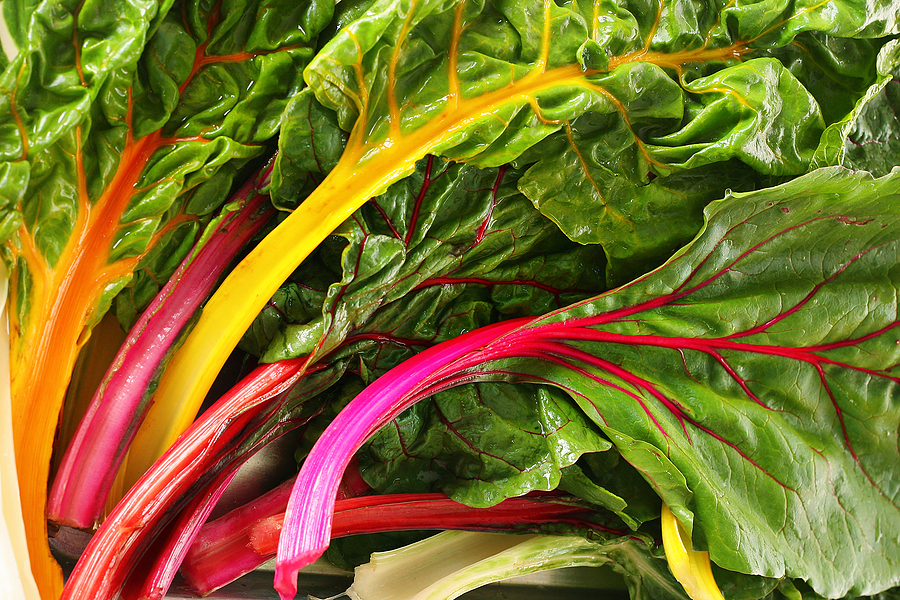 harvesttotable.com