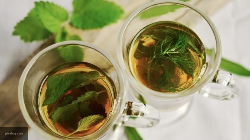 Доктор Мясников рассказал о пользе зеленого чая в борьбе с раковыми опухолями