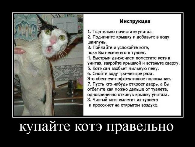 Прикольные картинки с надписями - суперподборка (130 картинок) Прикольные картинки с надписями - суперподборка (130 картинок)