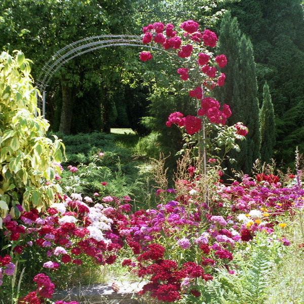 4497432_rosesingardenarchway6 (600x600, 205Kb)