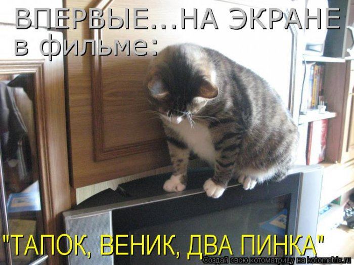 Мысли вслух :)