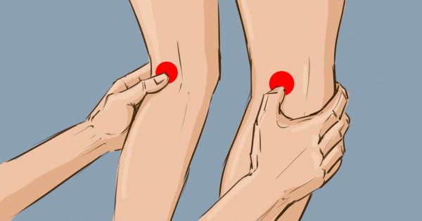 thumb-600x315 (12)