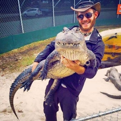 Ночные прикольные картинки (30 шт) Ночные прикольные картинки (30 шт)