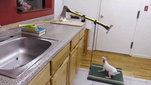 Необычные вещи, которые сделают вашу кухню идеальной gif, гифки, кухня, подборка