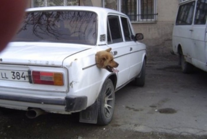 Как это произошло Как это произошло забавно, подборка, подборка фото, фотоподборка, юмор