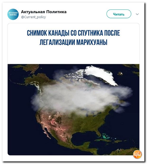 Обзор ситуации в мире с сарказмом и ехидной улыбкой Обзор ситуации в мире с сарказмом и ехидной улыбкой