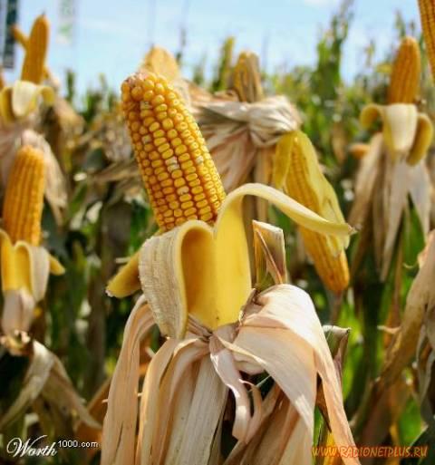 Давайте улыбаться вместе! :) (28поводов)