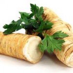 Narodnoe-lechenie-hrenom-200x200 (200x200, 7Kb)