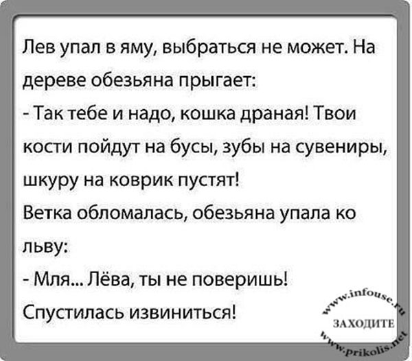 Смешные и прикольные короткие истории