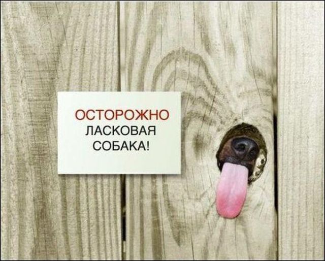 %D1%84%D0%BE%D1%8218%20%2810%29.jpg