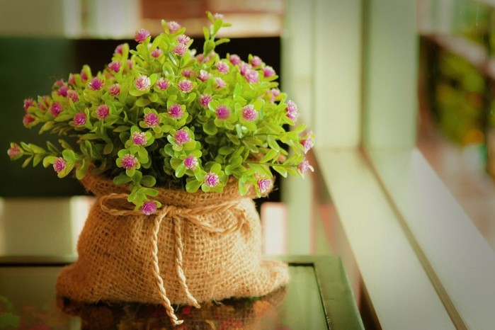 174185-bag-window-window_sill-flowers-purple_flowers-ropes (700x466, 71Kb)