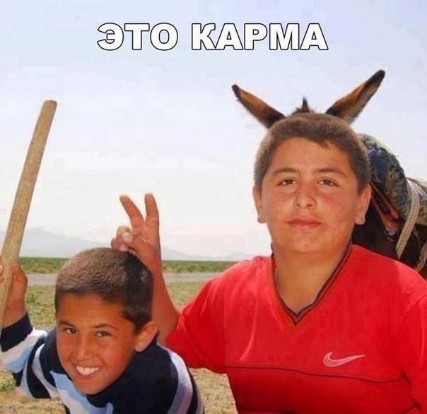Очередной набор картинок для позитива и животворящего смеха Очередной набор картинок для позитива и животворящего смеха
