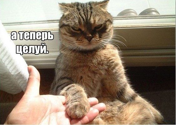 Доминируй! Властвуй! Унижай! Доминируй! Властвуй! Унижай!