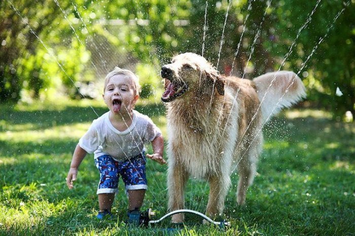 Ребенок и собака. Фото: komotoz.ru