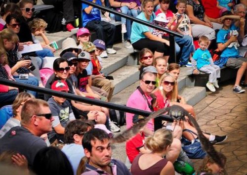 Что здесь происходит?! (26 фото) Что здесь происходит?! (26 фото)