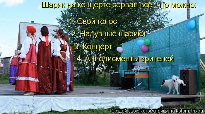 Самые весёлые котоматрицы)) Самые весёлые котоматрицы))