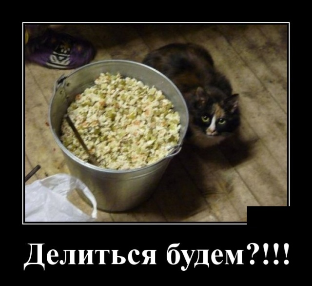 Забавные и новые демотиваторы. 547 ( 30 фото ) Забавные и новые демотиваторы. 547 ( 30 фото )