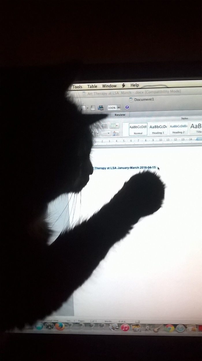 Котопост