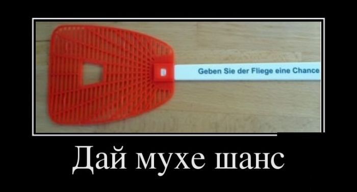 Дай мухе шанс Свежая подборка демотиваторов, которые поднимут вам настроение
