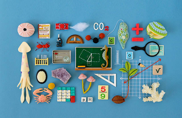 Восхитительно смешной случай на уроке в вечерней школе