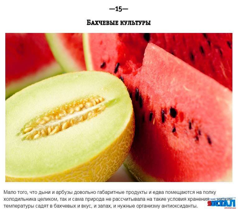 ПРОДУКТЫ, КОТОРЫЕ НЕЛЬЗЯ ХРАНИТЬ В ХОЛОДИЛЬНИКЕ