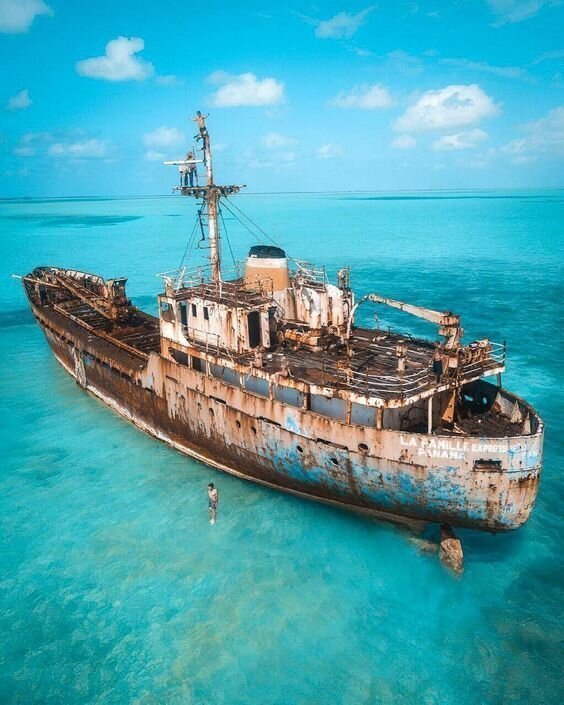 30 фото о жизни и смерти коней моря 30 фото о жизни и смерти коней моря