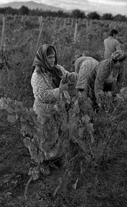 20 чёрно-белых фотографий из жизни советской Грузии в 1976 году 