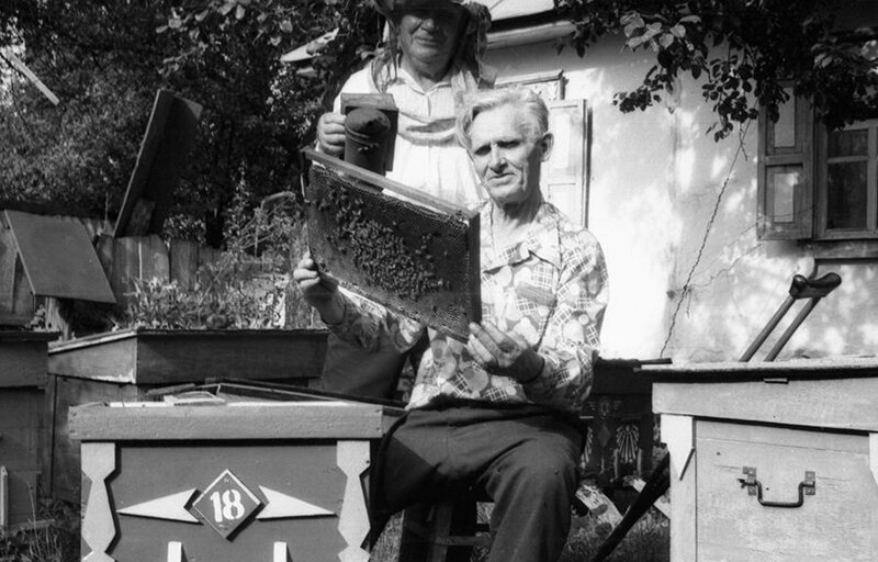 Это пчеловоды из Украины. Михаил Жеребцов потерял ногу во время Великой Отечественной войны. Он был танкистом. Обычные люди, архив, белоруссия, ностальгия, снимки, советская жизнь, фотография
