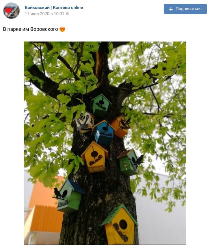 Скворечники на дубе том