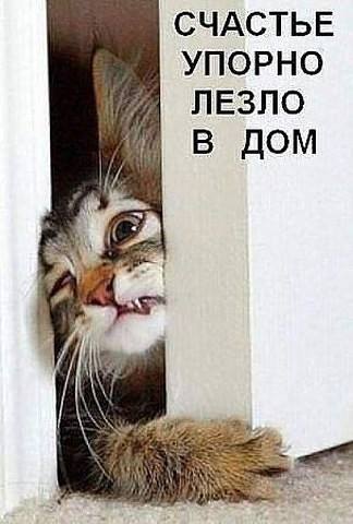 "    ..."  !!  !!!