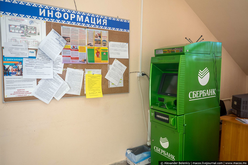 Край географии. Как выживают в посёлке среди тундры Край географии. Как выживают в посёлке среди тундры путешествия, факты, фото