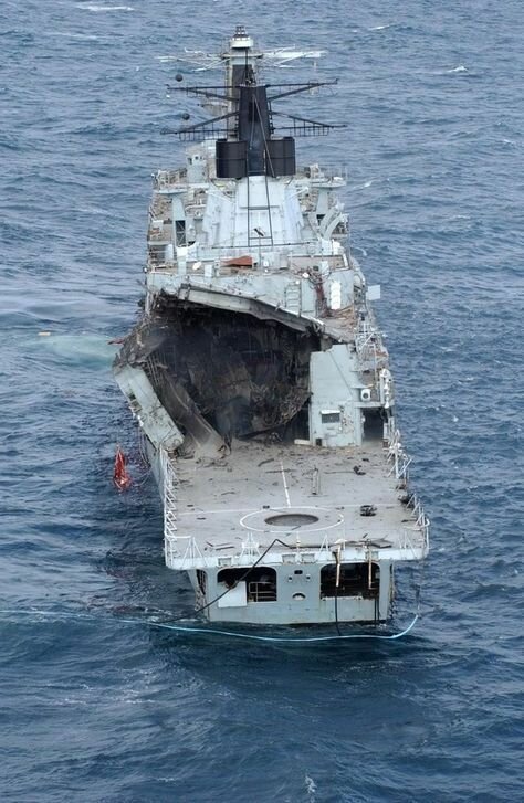 30 фото о жизни и смерти коней моря 30 фото о жизни и смерти коней моря