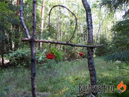 Старик и рябчики Старик и рябчики